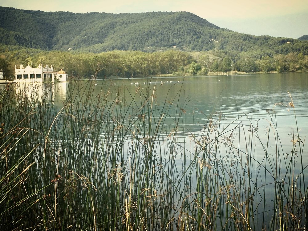 PS Rehydrate Pic.jpeg