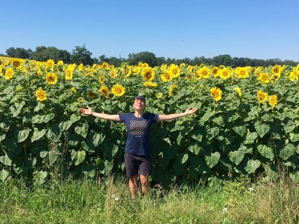 Emily Chappell sunflowers.jpg